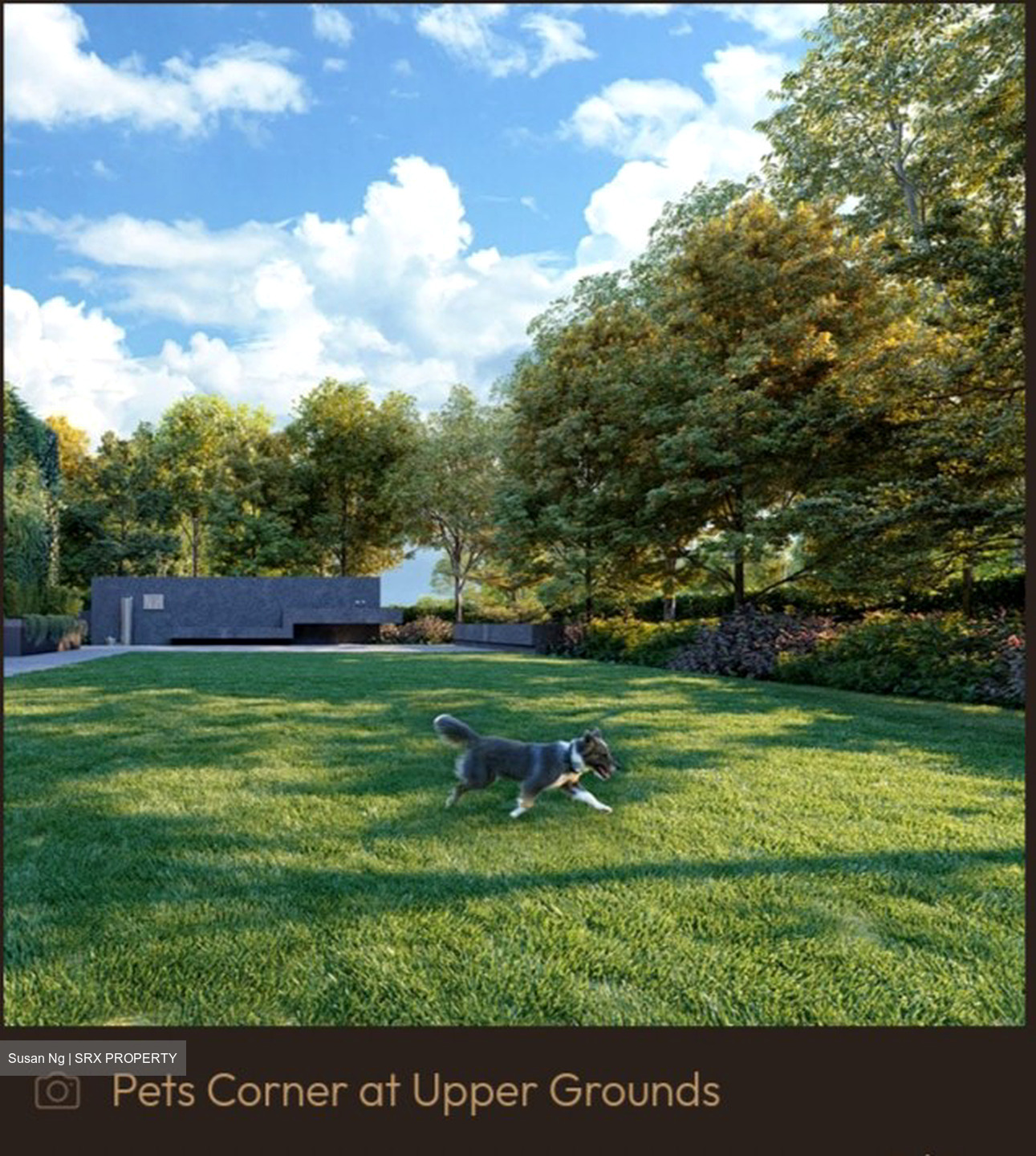 Amber House (D15), Apartment #463991371